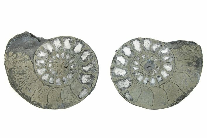 Pyritized Cut Ammonite Fossil Pair - Morocco #276602